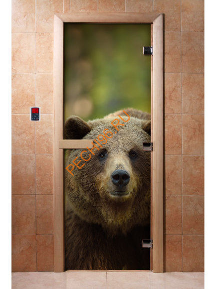 Дверь стеклянная DoorWood с фотопечатью «Хозяин тайги»